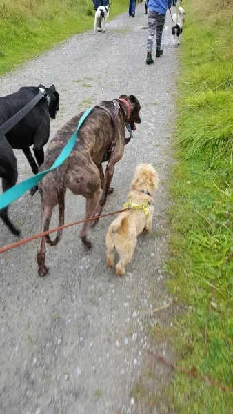 14060276 10209019066687423 89859314 o