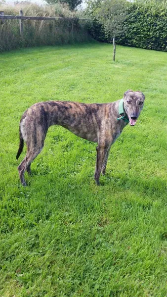 14060321 10210358115618900 2057937547 o