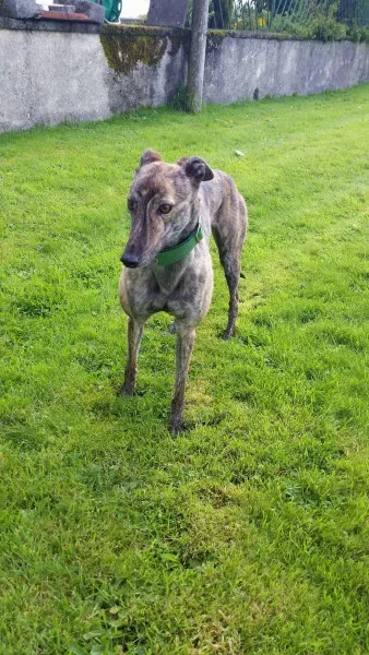 14060374 10210358122819080 689304657 o