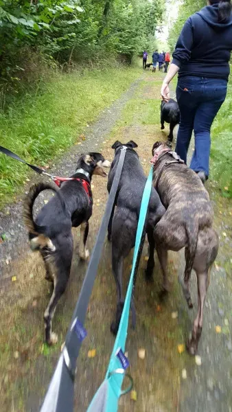 14060399 10209019064247362 757439950 o