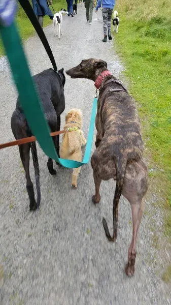 14060402 10209019337374190 2072529841 o