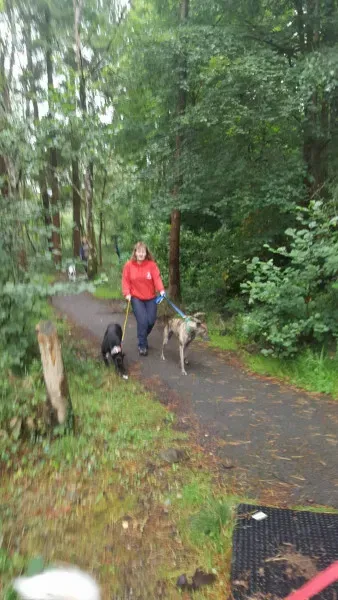 14060516 10209021986840425 1895846716 o