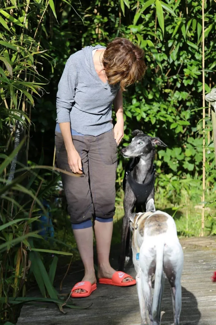 14067966 1106643236093945 5755338078078758691 o