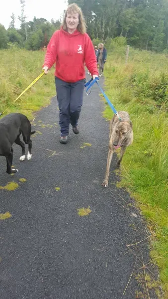 14074357 10209021990040505 1503432846 o