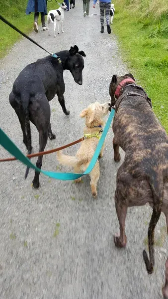 14074484 10209019067367440 482352064 o