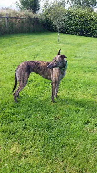 14074934 10210358132379319 1891048168 o