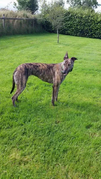 14075102 10210358128779229 1330432315 o