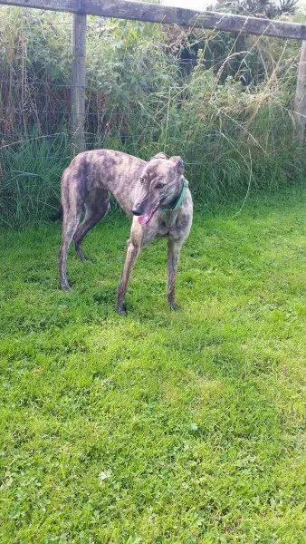 14075232 10210358123939108 907575500 o