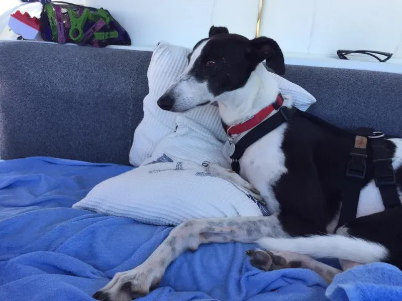 14079555 10154612652619432 8944635442890284592 n