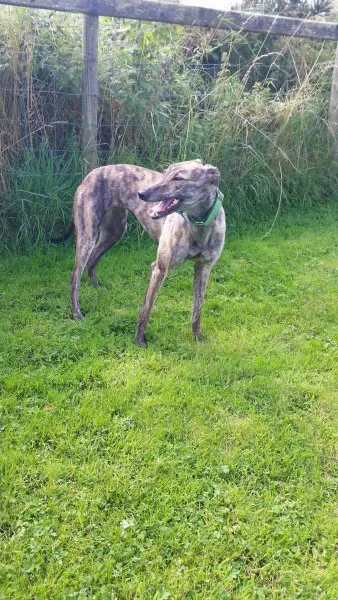 14087594 10210358122179064 124322197 o