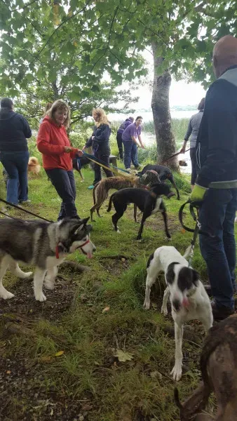 14087764 10209021986160408 1086808059 o