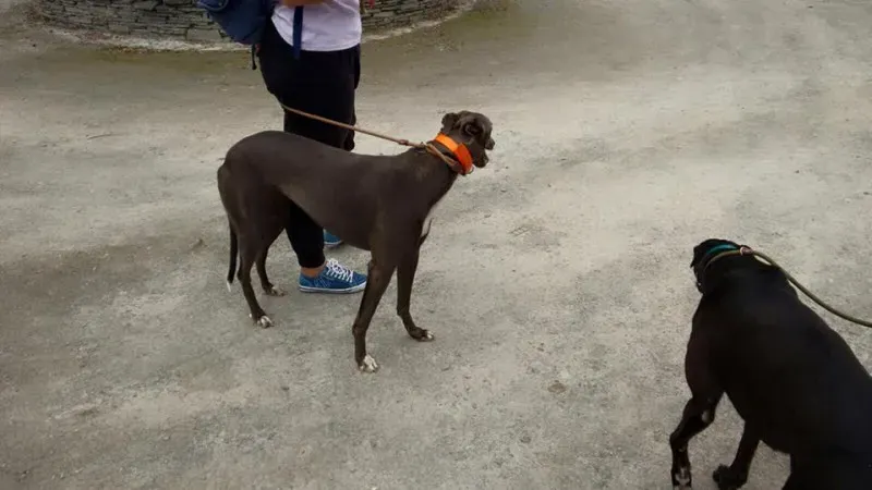 14088506 1102632026487318 1466636919082299869 n