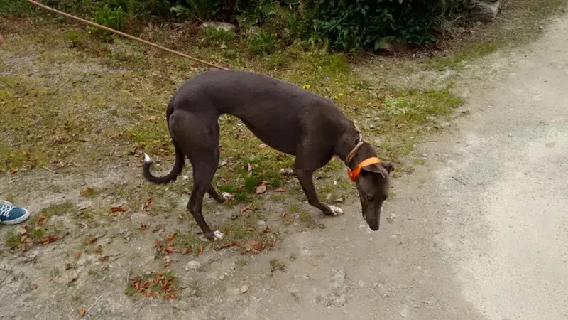 14088654 1102631966487324 1594149255447395459 n