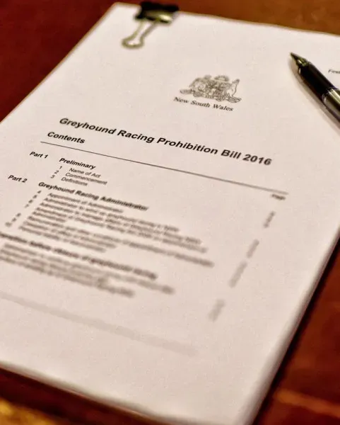 14089221 1170496923078547 2937525462543620863 n