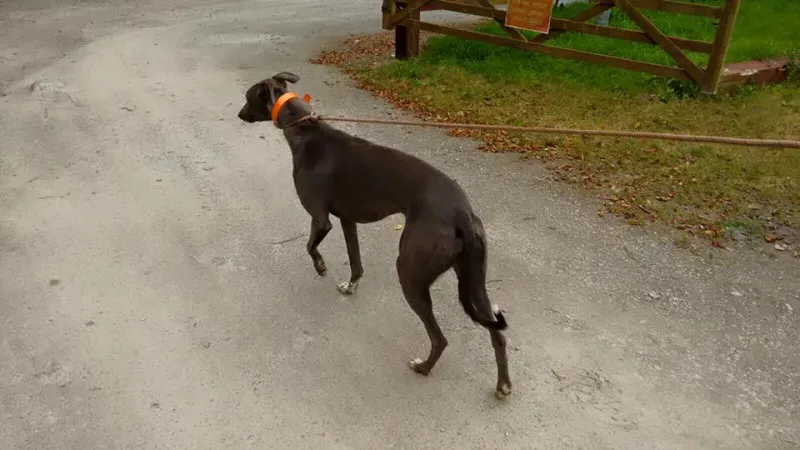 14095785 1102632013153986 6447550873080707160 n