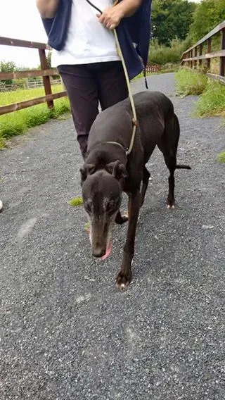 14100284 1104949199588934 3066125193646130999 n