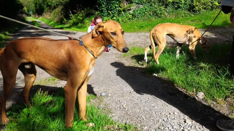 14100292 1102143079869546 8201674983860260087 n