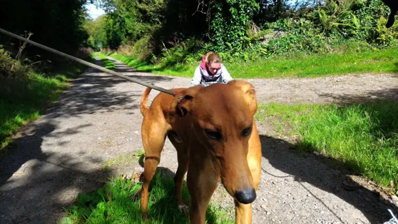 14100292 1102143166536204 968390486453363840 n