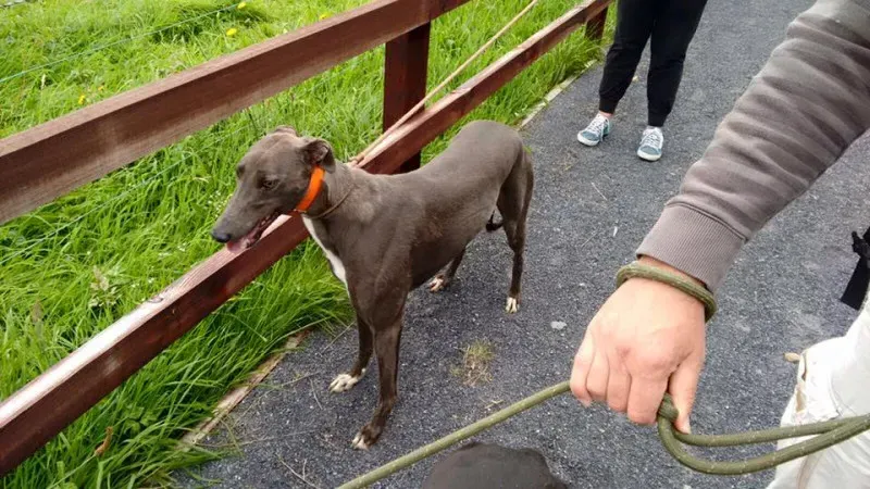 14100459 1102631996487321 1984984954007992796 n