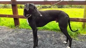 14102254 1104954029588451 5818695343061149177 n