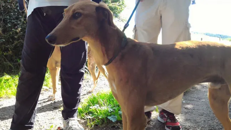 14102452 1102143023202885 628105537956554331 n