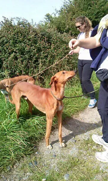 14102539 1102142973202890 8736903369249981898 n