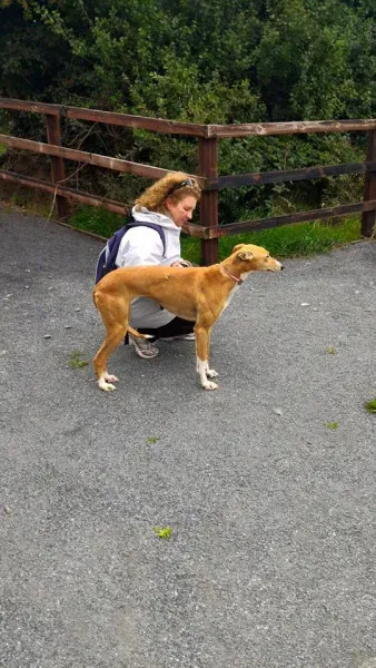 14102696 1104967086253812 3791342747379500418 n