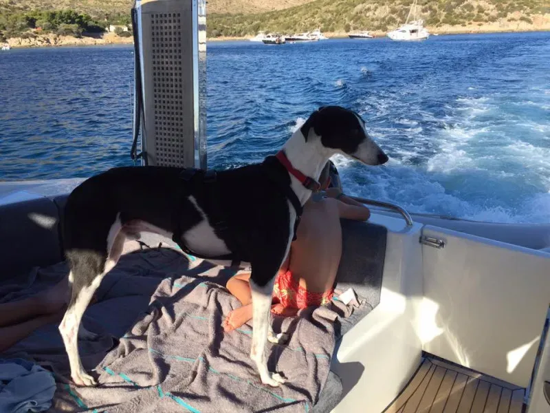 14102748 10154612652454432 785143686092235653 n