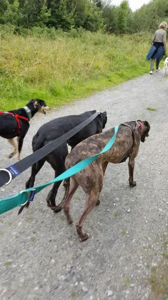 14113843 10209019334374115 416259594 o