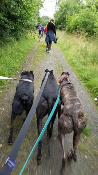 14113920 10209019334694123 1324969805 o