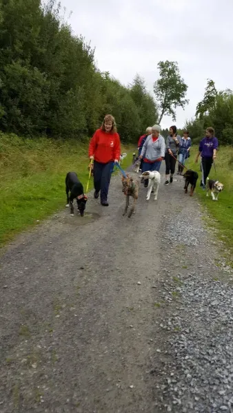 14113958 10209021972480066 1210082772 o