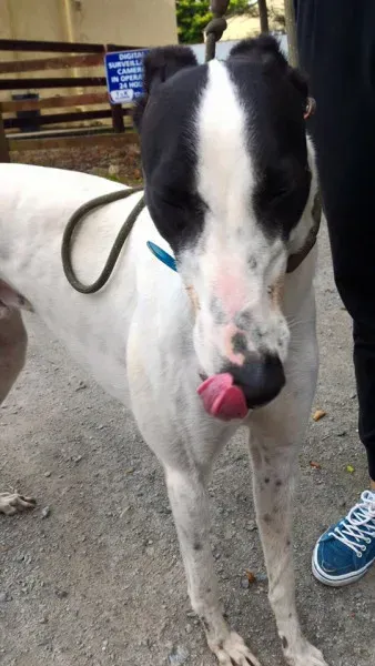 14117729 1104569892960198 2902067946011058875 n