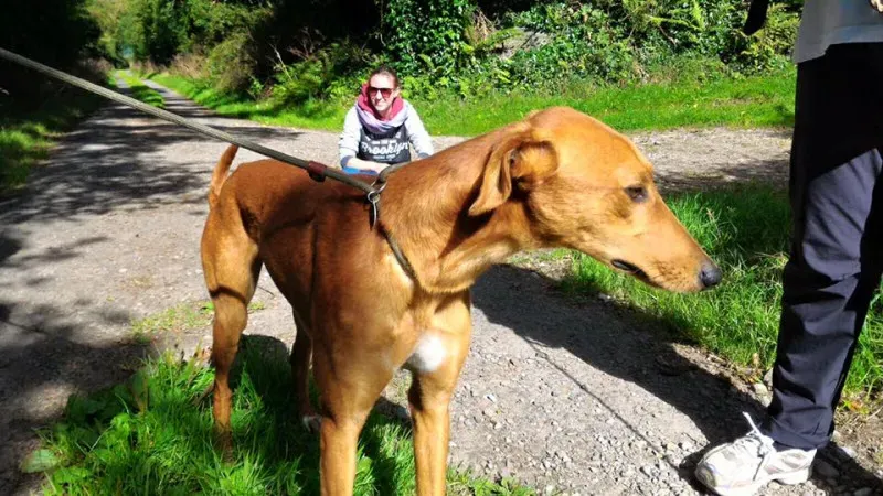 14117775 1102143176536203 6613036885999913001 n