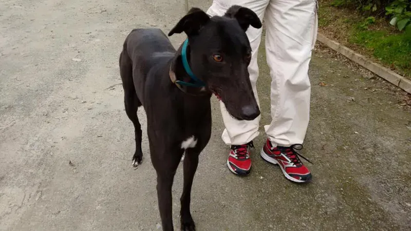 14117814 1104569552960232 25034459207582258 n