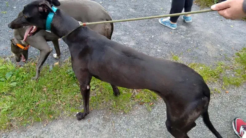 14117831 1104569449626909 8016969059960591270 n