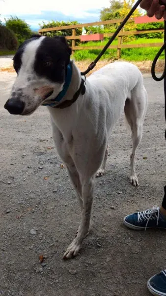 14117859 1104569886293532 1366842927756557517 n