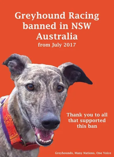 14124467 192741784477087 440487756005713915 o