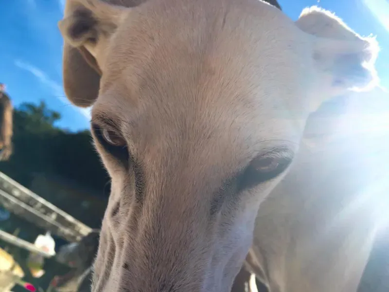 14141496 10208145835656035 2619847547303298075 n