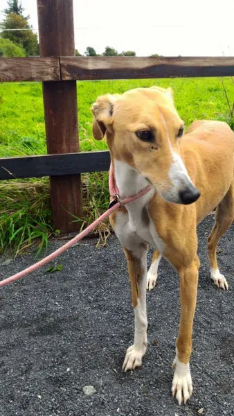 14141659 1104967082920479 1942045151850302299 n