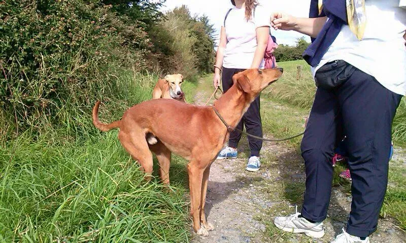 14141688 1102142933202894 1159637143046374437 n