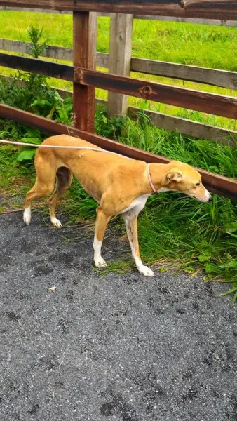 14141694 1104967052920482 6467882420836888285 n