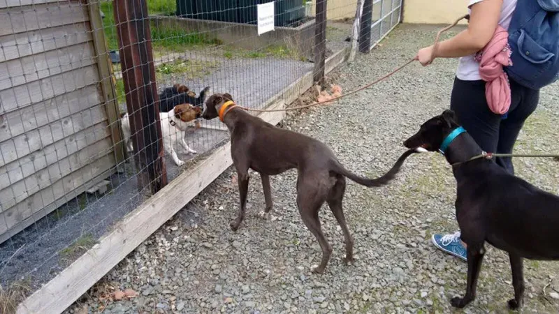 14141751 1102631946487326 6825464573395489718 n