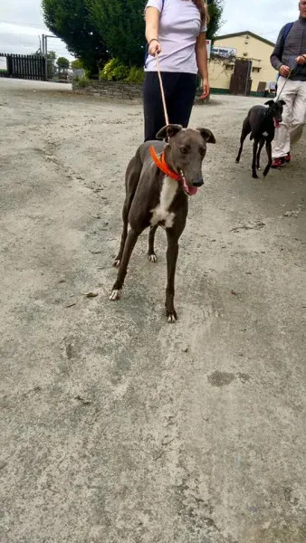 14141798 1102632083153979 5998740916258626120 n