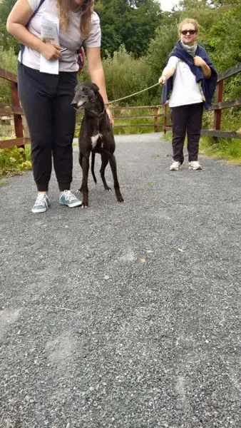 14141902 1104949229588931 2515087150159233714 n