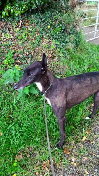 14141942 1104953739588480 8903468844485324265 n