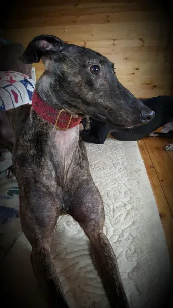 14163984 10209139887307863 335919159 o