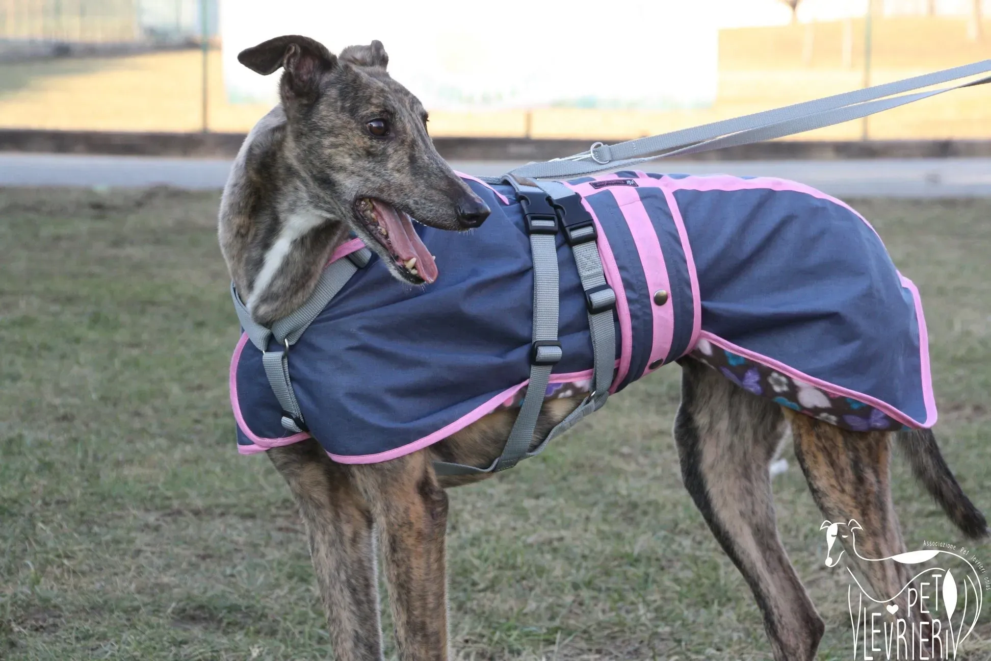 14174AF2 7C56 4749 A7F3 FADAA4162AA0