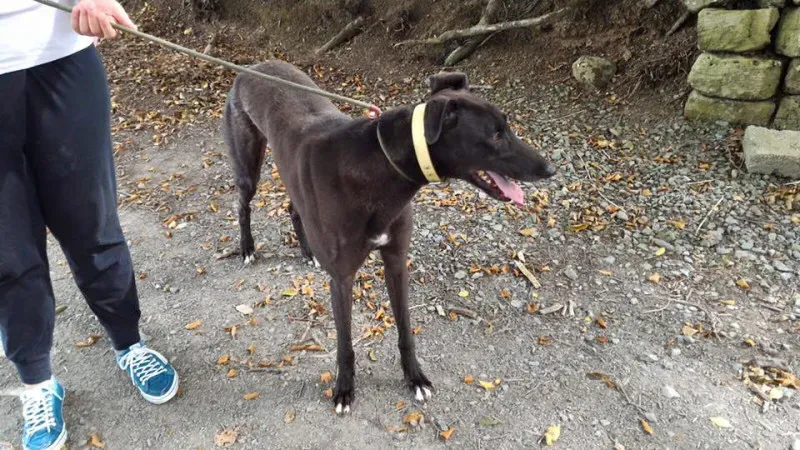 14183728 1104899376260583 5285187820804596451 n