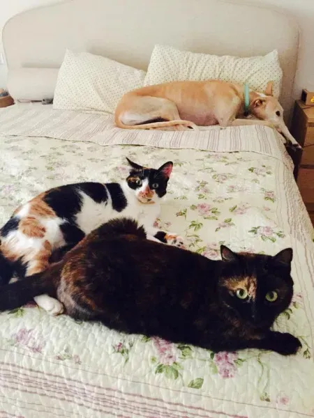 14183730 10209462503186795 4521071325750446362 n