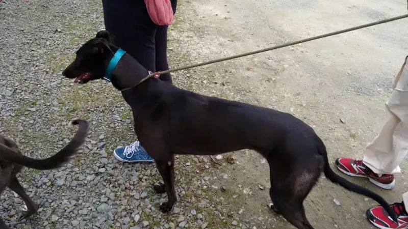 14183808 1104569546293566 6381718836582070463 n